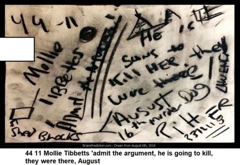10873 6 August 2018 1   - 44 11 Mollie Tibbetts 'admit The Argument, He Is Going To Kill, They Were There, August. ...
44 11 Mollie Tibbetts 'admit The Argument, He Is Going To Kill, They Were There, August.  8.12.18  I Have Not Left To Go To Iowa Yet, Its Pretty Far From Where I Live Psl Florida, Plus Schools Starts Tomorrow  Will Go As Soon As I'M Able.  I Feel Pretty Certain That Being In The Local Area I Will Be Able To Help In This Case, I Have Had Success In The Past On Cases That I Was Less Sure Of.  8.22.2018, I Have Heard The Awful News That Mollie Was Found Dead, Very Sad Situation.  I Have Redone This Case Several Times And I Still Am Not Getting Anything Close As To What Supposedly Happened And Why  Not Even Close.  Seems Ever Since The Us Vice President Visited The Family Things Changed.  I Realize That My Dd'S Are Wrong And I Don'T Want To Start Any Conspiracy, But I Still Have A Feeling That The Person That Confessed To Doing This Did Not, And The Current Us President Had Something To Do With It.
