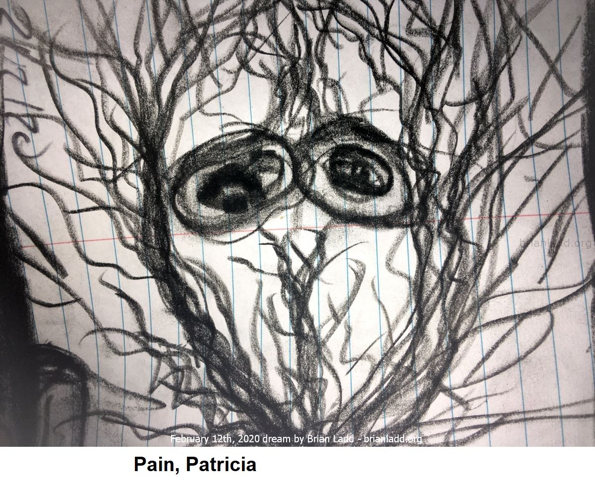 12721 12 February 2020 2 - Pain, Patricia....
Pain, Patricia.
