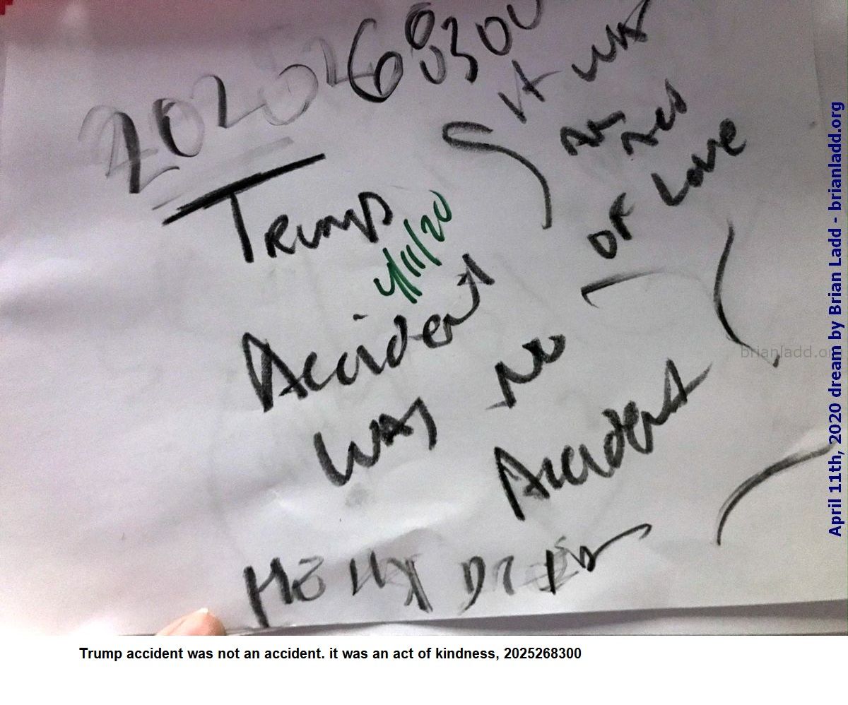 12960 11 April 2020 5 - Trump Accident Was Not An Accident. It Was An Act Of Kindness, 2025268300...
Trump Accident Was Not An Accident. It Was An Act Of Kindness, 2025268300

