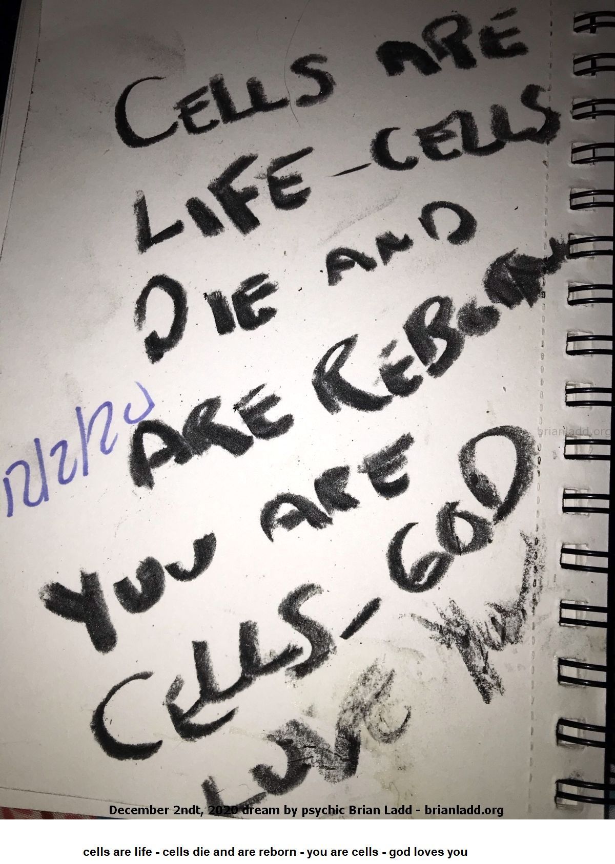 14123 2 December 2020 2 - Cells Are Life - Cells Die And Are Reborn - You Are Cells - God Loves You...
Cells Are Life - Cells Die And Are Reborn - You Are Cells - God Loves You
