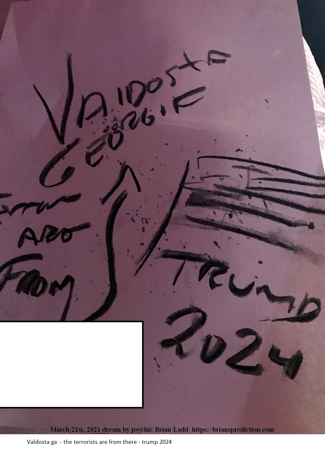 14635 21 March 2021 3 - Valdosta Ga  - The Terrorists Are From There - Trump 2024....
Valdosta Ga  - The Terrorists Are From There - Trump 2024.
