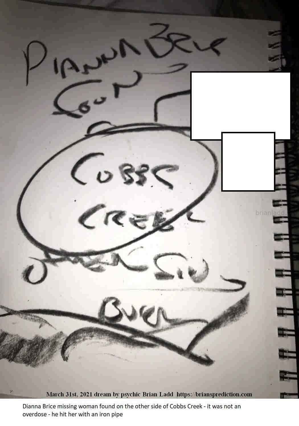 14684 31 March 2021 2 - Dianna Brice Missing Woman Found On The Other Side Of Cobbs Creek - It Was Not An Overdose - He ...
Dianna Brice Missing Woman Found On The Other Side Of Cobbs Creek - It Was Not An Overdose - He Hit Her With An Iron Pipe.  Case At   https://briansprediction.com/Dianna-Brice
