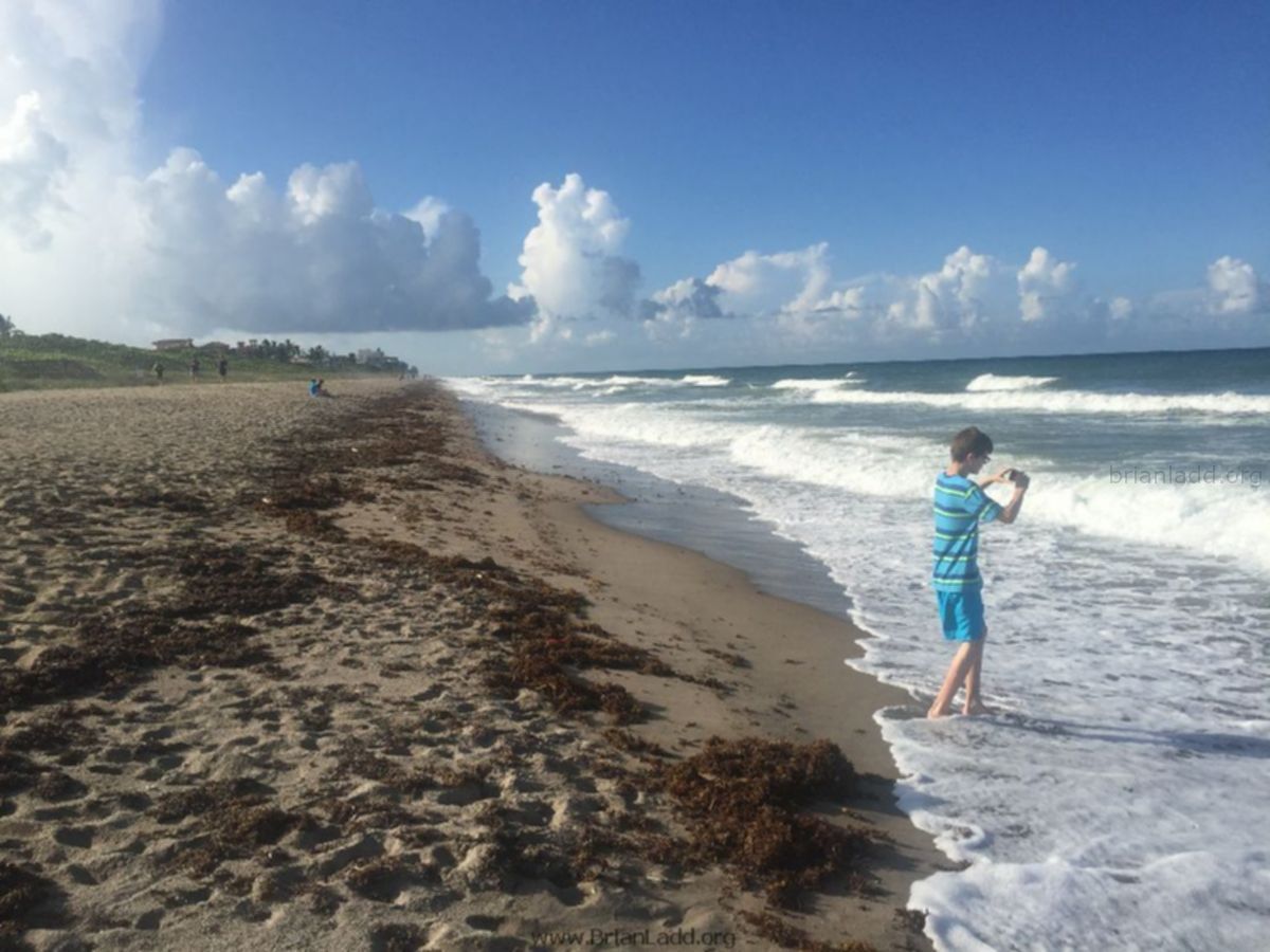 1564 - Jensen Beach 9/2016 Before Storm...
Jensen Beach 9/2016 Before Storm
