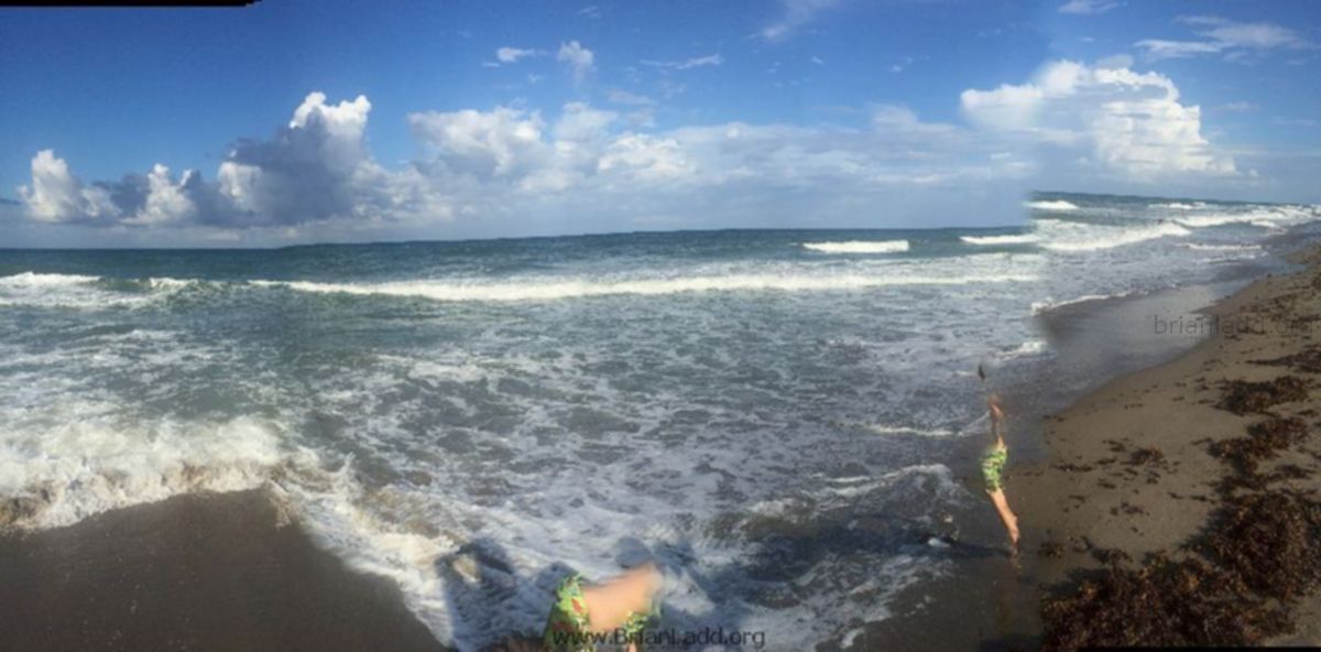 1565 - Jensen Beach 9/2016 Before Storm...
Jensen Beach 9/2016 Before Storm
