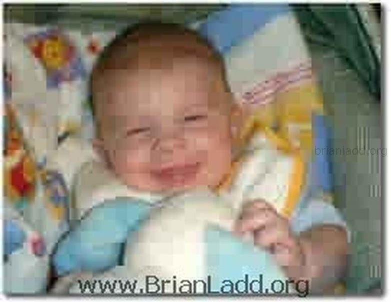 Moreab8 - More About Brian Ladd...
More About Brian Ladd... 
