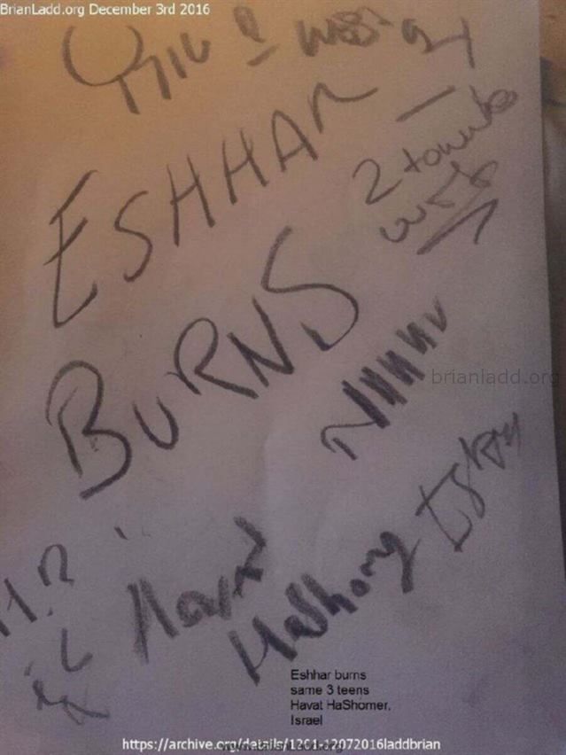 7954 3 December 2016 4 - Eshhar Burns  Same 3 Teens Havat Hashomer, Israel...
Eshhar Burns  Same 3 Teens Havat Hashomer, Israel
