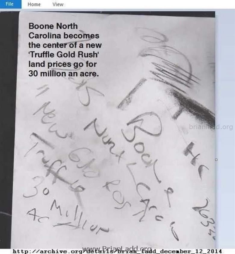 6169 12 December 2014 3 - Boone North Carolina Becomes the Center of a New 'truffle Gold Rush' Land Prices Go ...
Boone North Carolina Becomes the Center of a New 'truffle Gold Rush' Land Prices Go for 30 Million an Acre.
