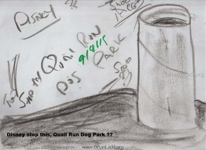 6867 8 September 3 - Disney Stop This, Quail Run Dog Park ??...
Disney Stop This, Quail Run Dog Park ??
