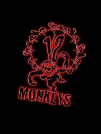 12_monkeys.jpg
