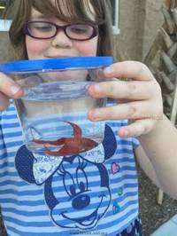 Allison_and_her_new_fish_Nov_17th_2016.jpg