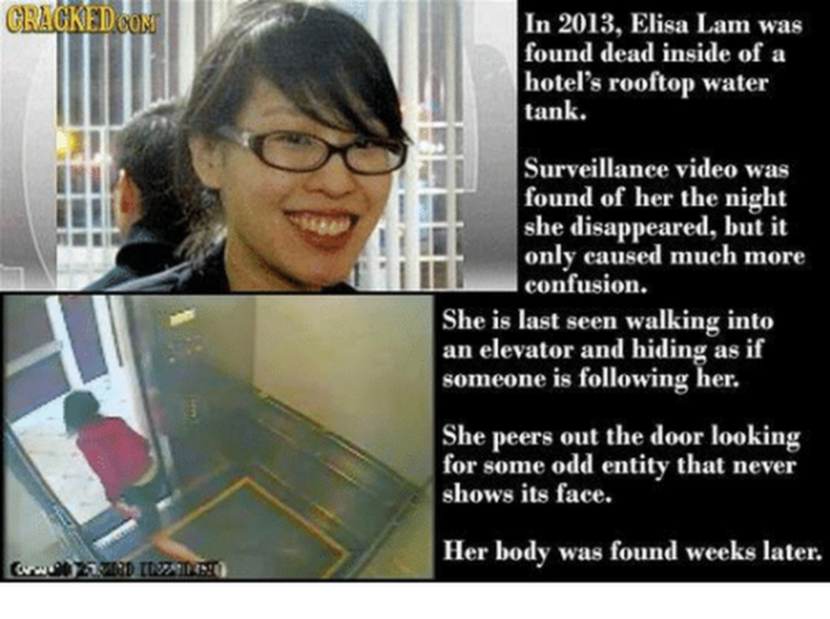 in-2013-elisa-lam-was-found-dead-inside-of-a-1179291 The murder of by Shanann Watts  Bella and Celest by Chris Watts psychic Brian add
in-2013-elisa-lam-was-found-dead-inside-of-a-1179291 The murder of by Shanann Watts  Bella and Celest by Chris Watts psychic Brian add
