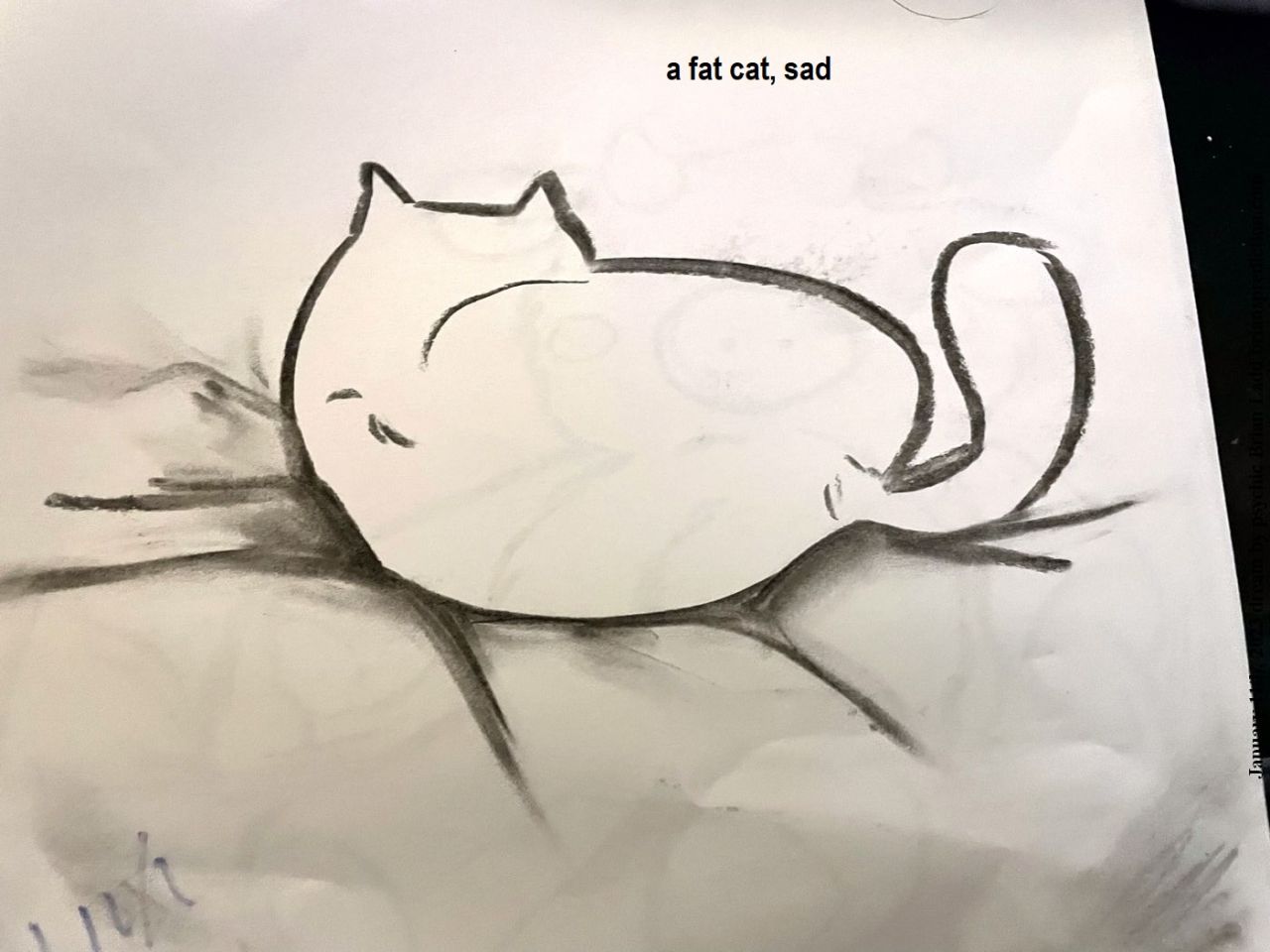 11 -jan 2023 5 a fat cat, sad...
a fat cat, sad.
